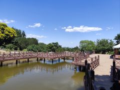 -北京西山国家森林公园