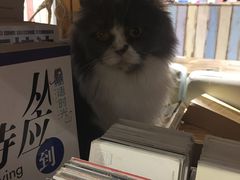 -小时光咖啡馆(开森度假森林店)