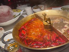 -小龙翻大江文化火锅(宽窄店)