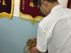 -中农大我爱我爱24h动物医院·中医针灸·猫专科·骨科医疗中心(双井店)
