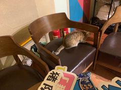 -H立方实景剧情密室(天河旗舰店)