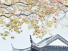 -老门东历史文化街区