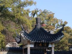 -江心屿景区