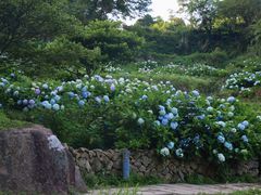 -鼓岭旅游度假区