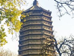 -玲珑塔公园