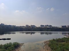 -广东花都湖国家湿地公园