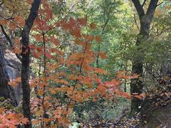 -五女峰国家森林公园