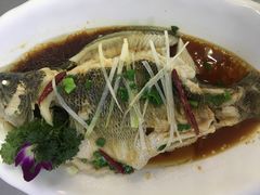清蒸鲈鱼-都来福海鲜大酒店(大东店)