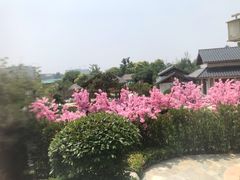 -郑州银基黄帝宫御温泉