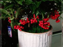 -FEI FEI FLOWER鲜花店·气球派对·宝宝宴布置(虹口德必运动Loft店)
