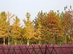 -云龙湖旅游景区