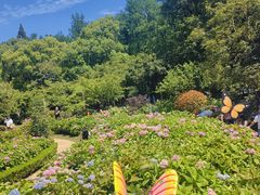 -上海共青森林公园