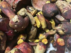 -菌之家·专业纯野生菌火锅·特色炒菌