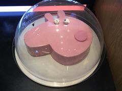 -野人先生现做冰淇淋(北京环宇荟店)