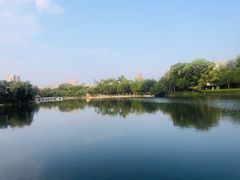 -翠湖公园