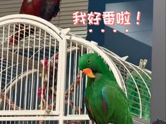-立德异宠动物医院.兔鸟爬.内窥镜(天河店)
