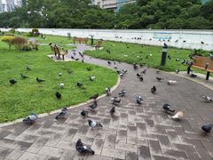 -九龙公园