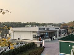 -大兴滨河森林公园