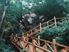 -大岭沟猕猴桃谷风景区