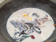 -鲜潭蒸汽石锅鱼(五道口购物中心店)