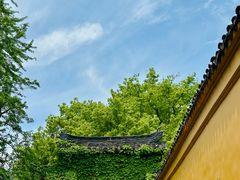 -西园寺素食(西园弄戒幢律寺店)