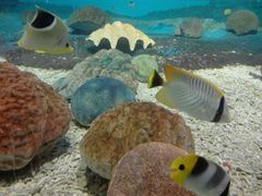 -北戴河圣蓝海洋公园