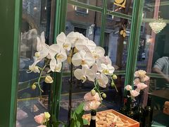 -OLLA 西班牙餐厅(丰盛里店)