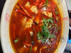 -陈麻婆豆腐(旗舰店)