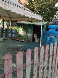 -萌宠亲子动物乐园(槐房万达店)