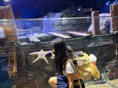 -香港海洋公园