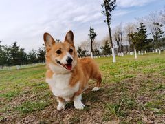 -洨河生态公园