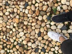 -盘龙城国家考古遗址公园