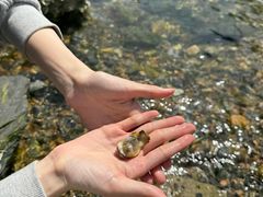 -银沙滩浴场