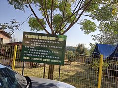 -青龙山国家森林公园