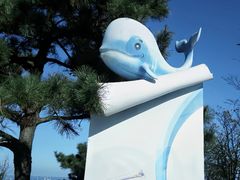 -在海一方公园