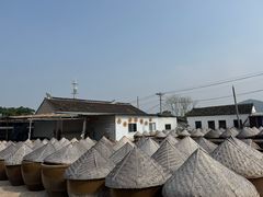 -苏州市吴中区光福窑上花果蜜饯厂