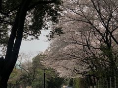 -昆山城市公园