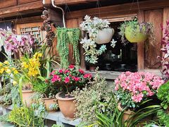 -龙姐私房菜(和顺古镇店)