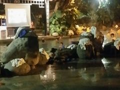 -青城道汤池