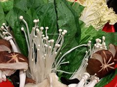 -额尔敦传统涮(体育场店)