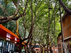 -西安电影制片厂