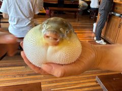 -永安鱼庄·镇江菜(丁卯店)