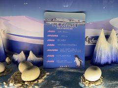 -帝企鹅自助餐厅•儿童岛•真企鹅(长隆企鹅酒店)