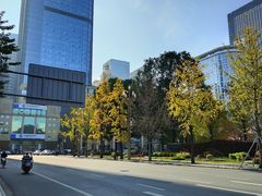 -四川大学(华西校区)