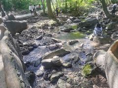 -香炉山国家森林公园