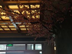 -鸥迪足道(安庆店)