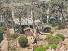 -大连森林动物园