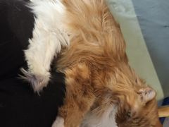 -平行世界·猫咖(首经贸店)