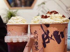 春江水暖-成川茶店·潮汕工夫浓茶(万象店)