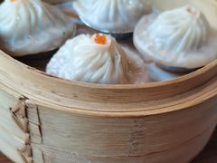 -旺金鸽·传承15年老字号·手工早茶(荔湾坦尾桥中店)